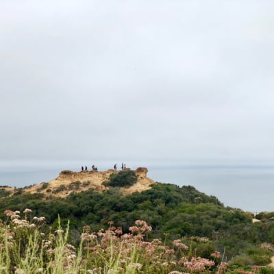 Wanderung im Torrey Pines State Park
