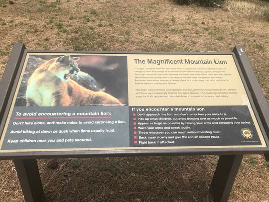 Zum Glück keinen Puma getroffen!