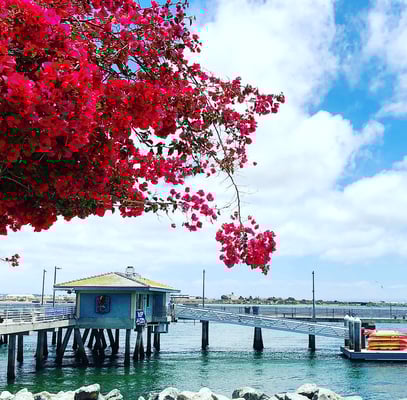 Es ist einfach nur herrlich hier!