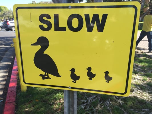 Ja, auch wir sind slow unterwegs....haben ja Ferien!