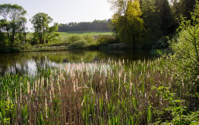 Foto Dr. Christian Grohmann