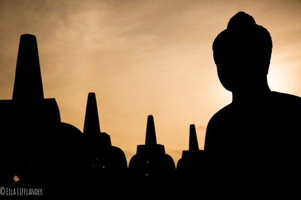 Bodobudur Temple and Buddha Statue 