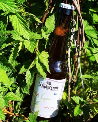 Laliguère bière de printemps