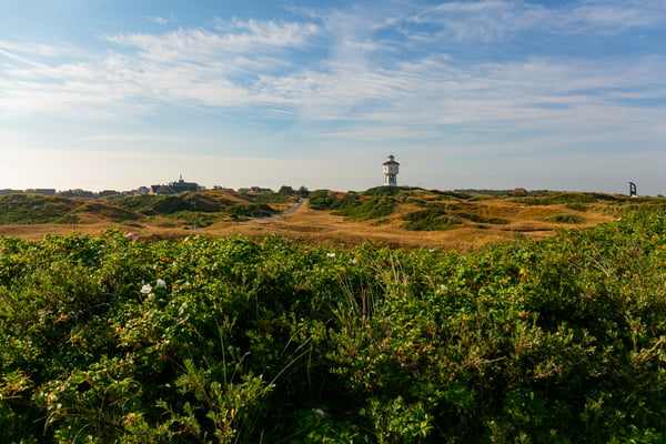 Wasserturm zwischen den Dünen