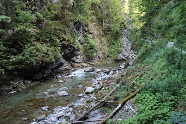 Wandern entlang der Breitach durch das Schwarzwassertal