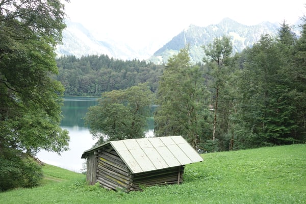 Rundweg um den Freibergsee