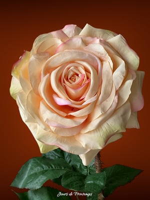 Rose artificielle Haut de Gamme
