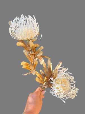 Protéa Artificiel Haut de Gamme