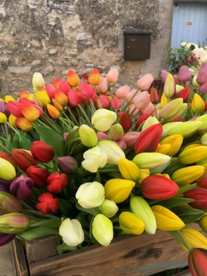 Tulipes artificielles Haut de Gamme