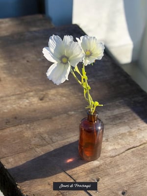 Cosmos Artificiel Jours de Printemps