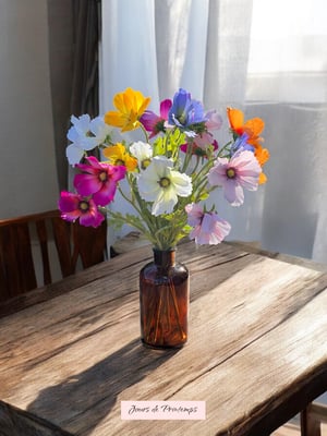 Cosmos Artificiel Jours de Printemps