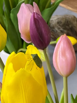 Tulipes artificielles Haut de Gamme