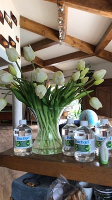 Tulipes artificielles Haut de Gamme