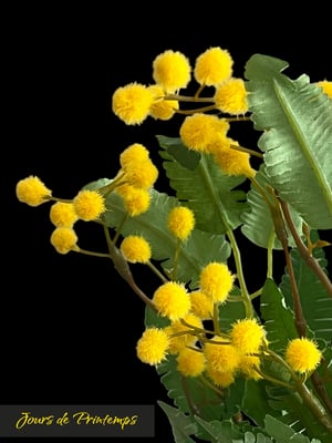 Mimosa artificiel