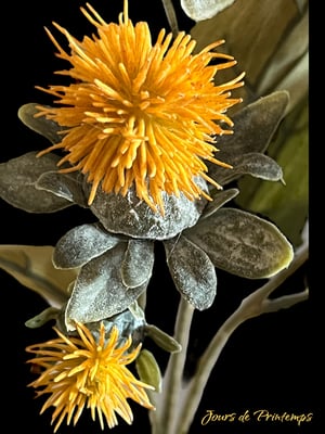 Chardon Artificiel Haut de Gamme