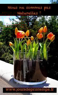 Tulipes artificielles Haut de Gamme