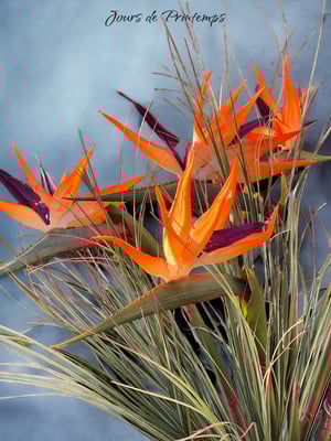 Strelitzia Artificiel Haut de Gamme