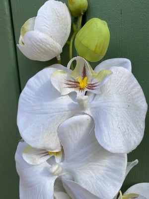 Entretien des fleurs artificielles