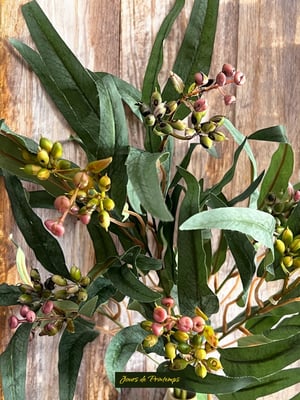 Eucalyptus Artificiel Haut de Gamme