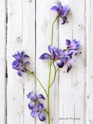 Mini Iris Artificiel Haut de Gamme