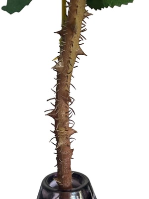 Rose Artificielle Haut de Gamme