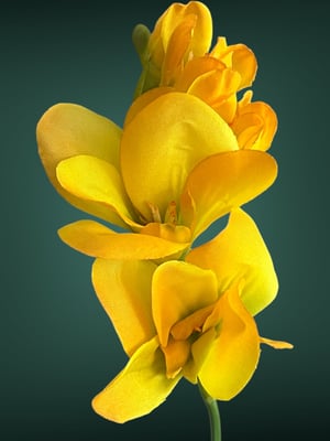 freesia artificiel