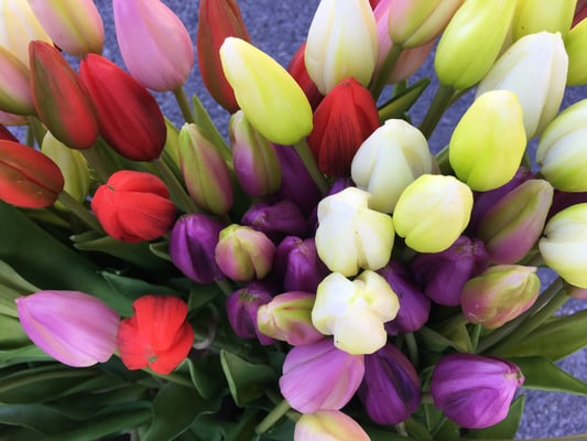 Tulipes artificielles Haut de Gamme