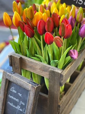 Tulipes artificielles Haut de Gamme