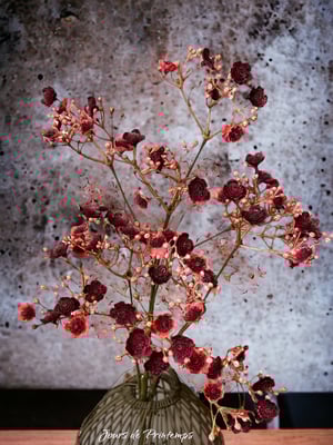 Gypsophille artificiel haut de gamme