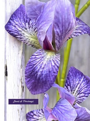 Mini Iris Artificiel Haut de Gamme