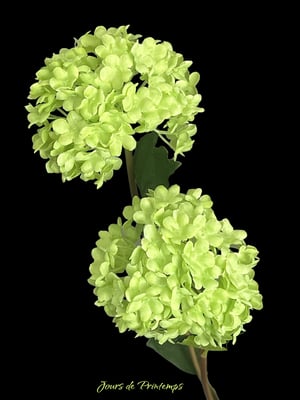 Viburnum artificiel Haut de Gamme