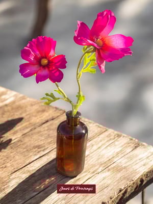 Cosmos Artificiel Jours de Printemps