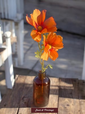 Cosmos Artificiel Jours de Printemps