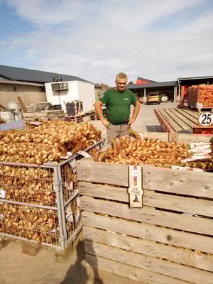fertig geräucherte Zöpfe, Marcel Nicaise schaut zufrieden auf den fertigen Knoblauch