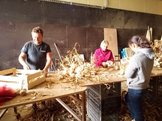 hier wird sortiert und gereinigt