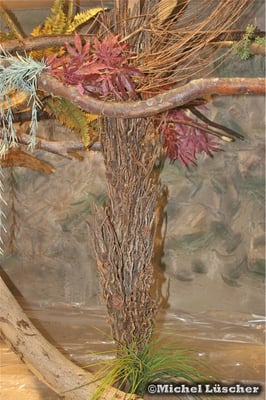 Stützbalken gut getarnt mit Büschen.