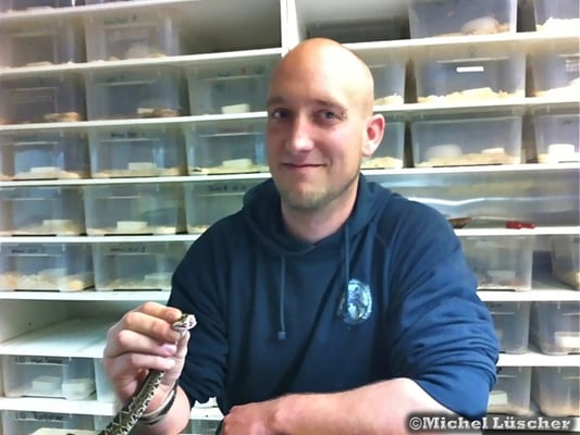 Bitte nicht nachmachen! Ich halte dieses Tier so um sicher damit arbeiten zu können und habe langjährige Erfahrung im Umgang mit Giftschlangen.