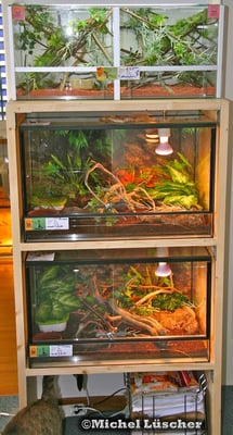 Holzregal selbstgebaut, meinen Bedürfnissen entsprechend.