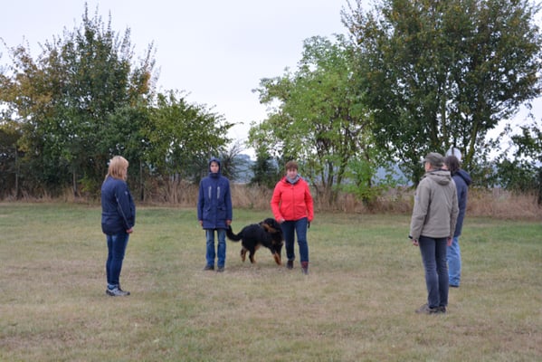 In der Gruppe ist unsere Freundin, wie nett...