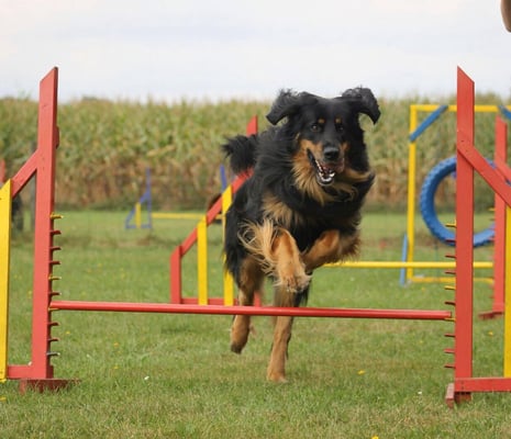 Bjarny, sportlich unterwegs