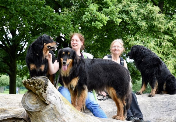 Annabelle, Indira, Barney