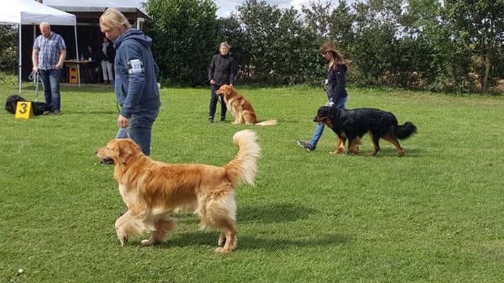 Booker Bleik vom Silberdistelwald