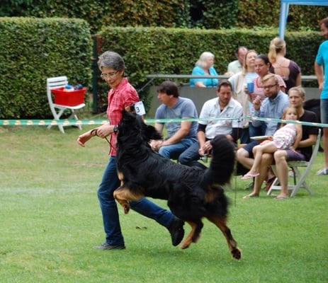 Das da oben hol ich mir...