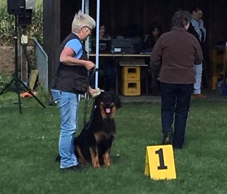 "Baloe" Baron Rocco van het Boschzicht