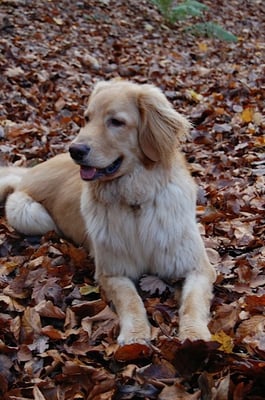 aktuelle Bilder von Booker Bleik 