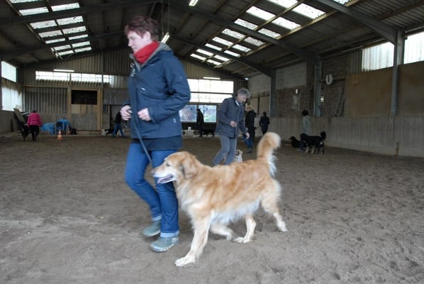 Thaler fühlt sich als wäre sie allein im Ring