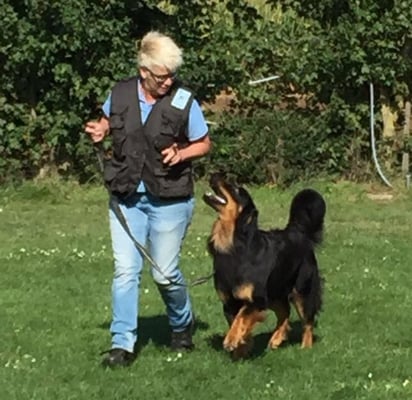 "Baloe" Baron Rocco van het Boschzicht