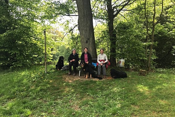 Holzweg mit Annabelle und Baki