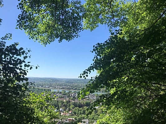 Blick auf das Rheintal 
