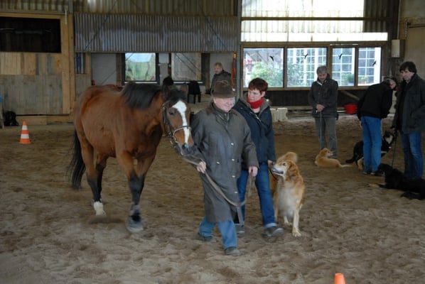 Thaler freut sich über ihren eigenen Mut neben dem Pferd